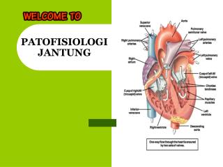 PATOFISIOLOGI JANTUNG