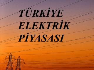 TÜRKİYE ELEKTRİK PİYASASI