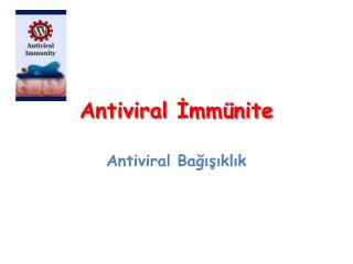 Antiviral İmmünite