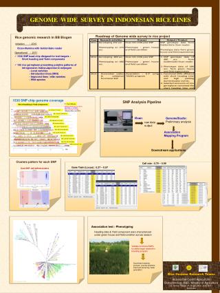 Roadmap of Genome wide survey in rice project