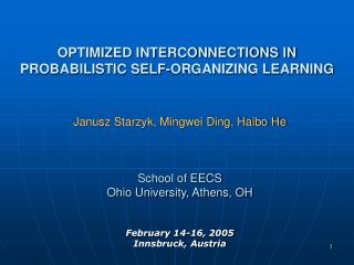 OPTIMIZED INTERCONNECTIONS IN PROBABILISTIC SELF-ORGANIZING LEARNING