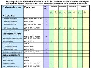 rna_table