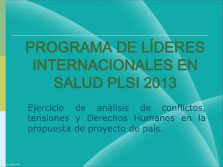 PROGRAMA DE LÍDERES INTERNACIONALES EN SALUD PLSI 2013