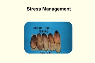 Stress Management