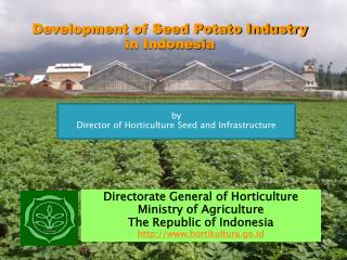 Development of Seed Potato Industry in Indonesia