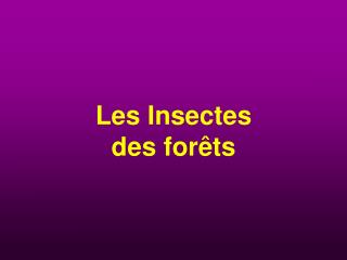 Les Insectes des forêts