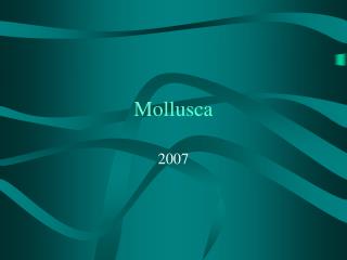 Mollusca