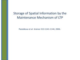 Storage of Spatial Information by the Maintenance Mechanism of LTP