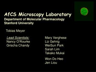 AfCS Microscopy Laboratory Department of Molecular Pharmacology Stanford University Tobias Meyer