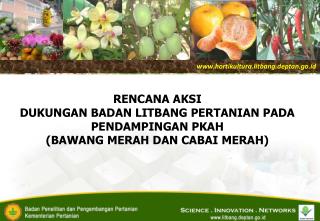 hortikultura. litbang.deptan.go.id