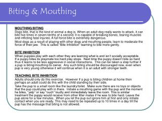 Biting &amp; Mouthing