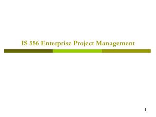 IS 556 Enterprise Project Management