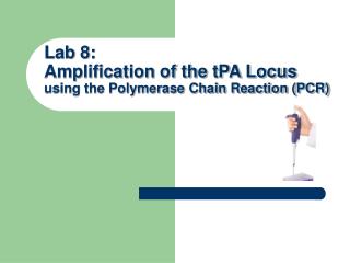 Lab 8: Amplification of the tPA Locus using the Polymerase Chain Reaction (PCR)