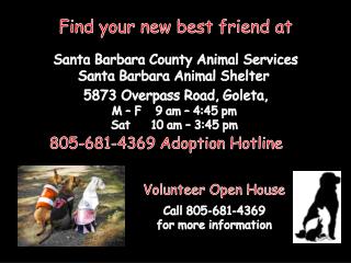 Find your new best friend at Santa Barbara County Animal Services Santa Barbara Animal Shelter