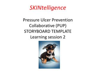 Pressure Ulcer Prevention (PUP) Collaborative Programme February 2014 – December 2014