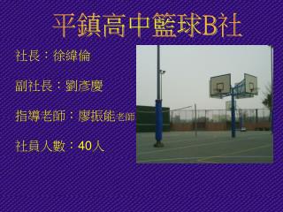 平鎮高中籃球 B 社