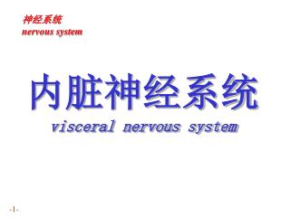 内脏神经系统 visceral nervous system