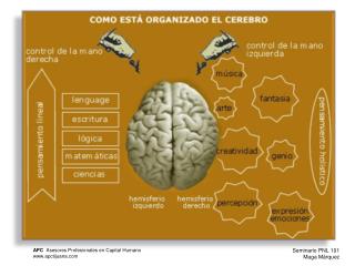 El perceptivo, enfocado a la detección de todo tipo de estímulos.