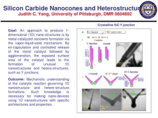 Crystalline SiC Y junction