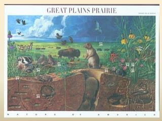 Community Ecology