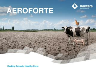 AEROFORTE