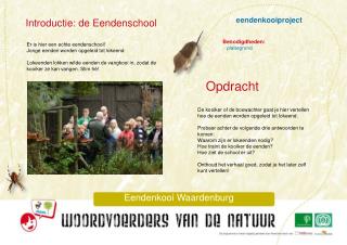 eendenkooiproject