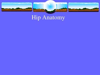 Hip Anatomy