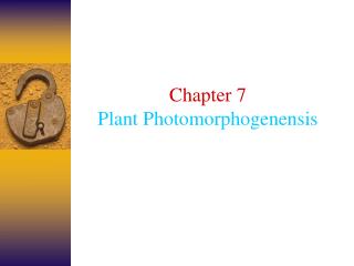 Chapter 7 Plant Photomorphogenensis