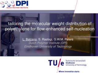 L. Balzano , S. Rastogi , G.W.M. Peters Dutch Polymer Institute (DPI)