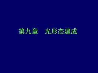 第九章 光形态建成