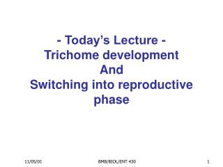 - Today’s Lecture - Trichome development And Switching into reproductive phase