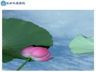§ 9 光形态建成
