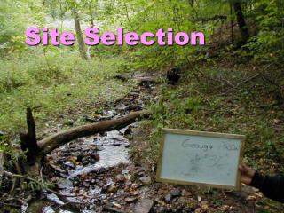 Site Selection