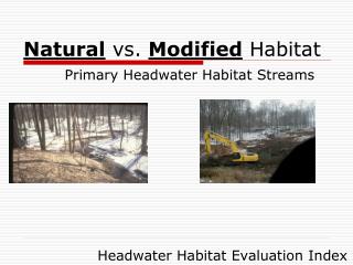 Natural vs. Modified Habitat Primary Headwater Habitat Streams