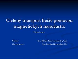 Cielený transport liečiv pomocou magnetických nanočastíc