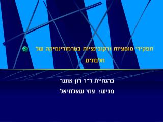 תפקידי מוטציות ורקובינציות בטרמודינמיקה של חלבונים.