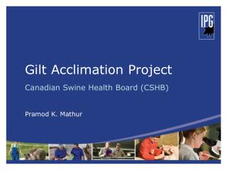 Gilt Acclimation Project Canadian Swine Health Board (CSHB) Pramod K. Mathur