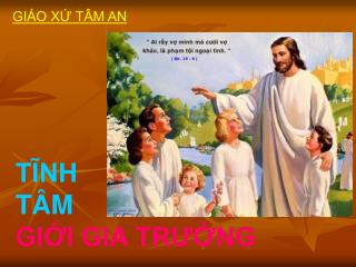 GIÁO XỨ TÂM AN