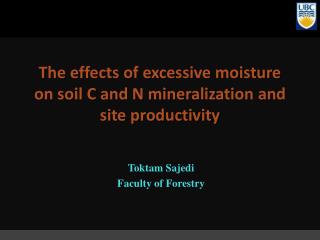 The effects of excessive moisture on soil C and N mineralization and site productivity