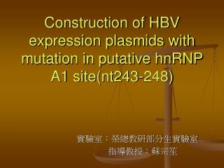 Construction of HBV expression plasmids with mutation in putative hnRNP A1 site(nt243-248)