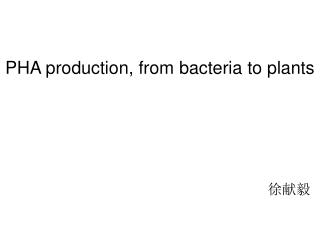 PHA production, from bacteria to plants