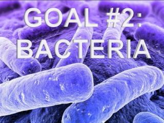 GOAL #2: BACTERIA