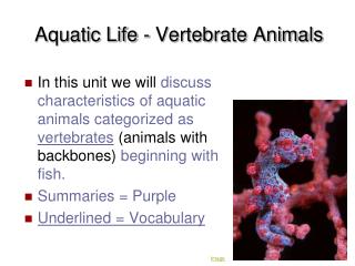 Aquatic Life - Vertebrate Animals