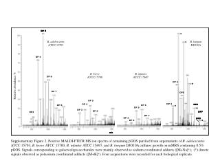 Relative abundance %