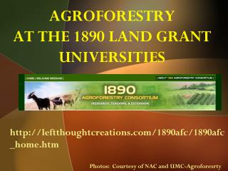 AGROFORESTRY AT THE 1890 LAND GRANT UNIVERSITIES