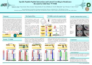 Specific Peptide-Peptide Interactions and Lateral Crowding in Membranes