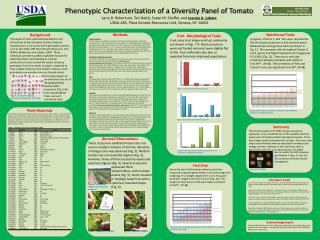 Phenotypic Characterization of a Diversity Panel of Tomato