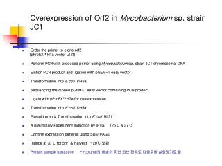 Overexpression of Orf2 in Mycobacterium sp. strain JC1