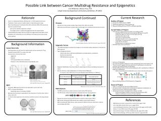 Possible Link between Cancer Multidrug Resistance and Epigenetics