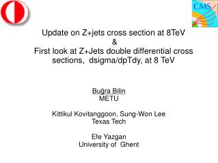 Update on Z+jets cross section at 8TeV &amp;